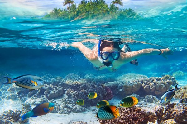 Private Tour 1 Day East Nusapenida + 3 Times Snorkeling